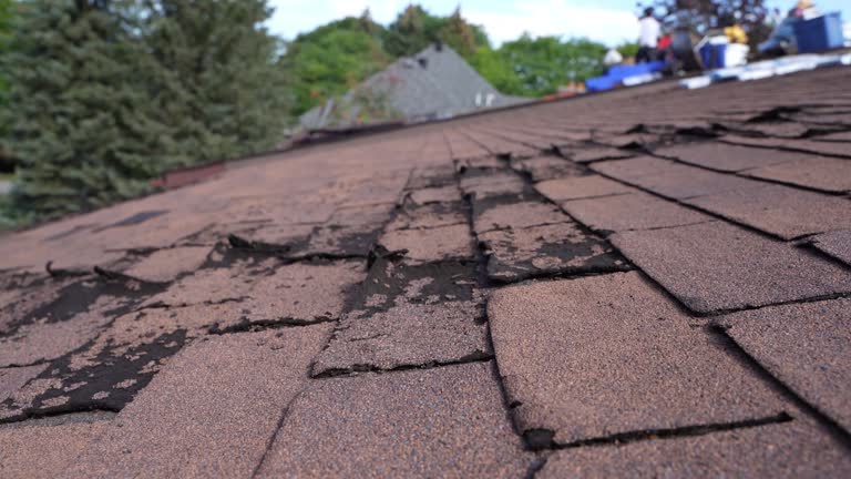 Best Roof Coating and Sealing  in Notre Dame, IN