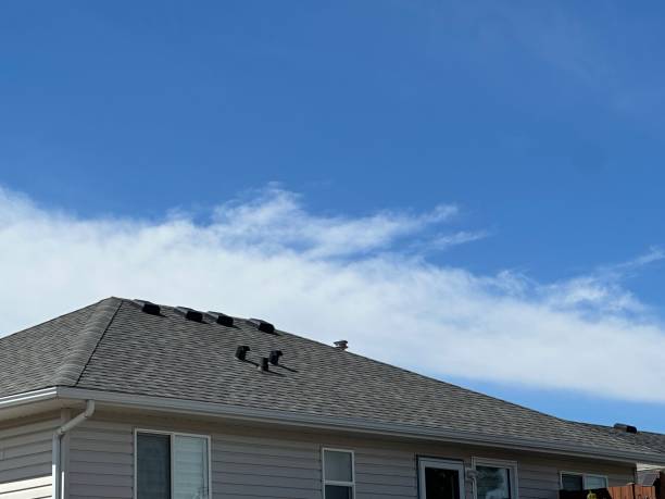 Best Skylight Installation and Repair  in Notre Dame, IN